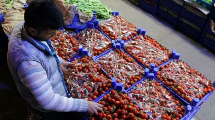 Seyşeller'den gelen heyet tek tek inceledi