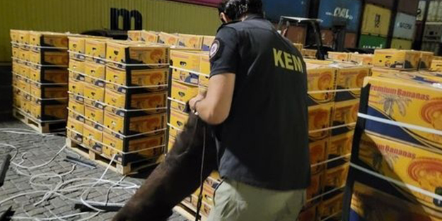 Şeytanın bile aklına gelmez! Mersin’deki muz kolilerinde bakın ne çıktı