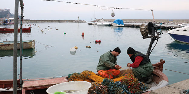 Sezon zamanı 600 ton yakalanıyordu! Şimdi ise kıtlık var