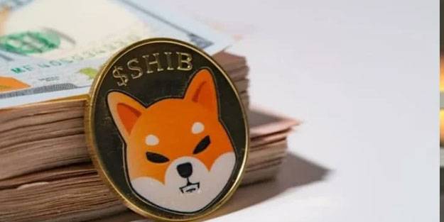Shiba Coin nedir? Shiba Coin kaç TL?