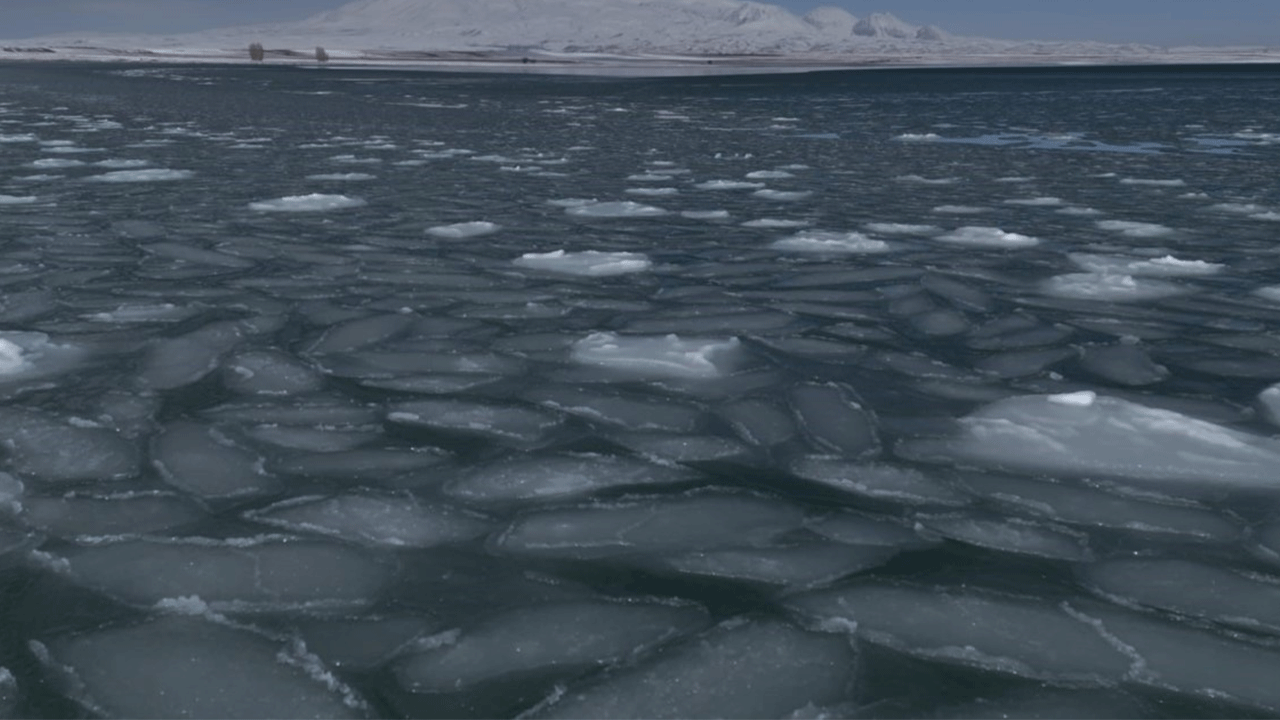 Sibirya soğukları Van Gölü'nü dondurdu!