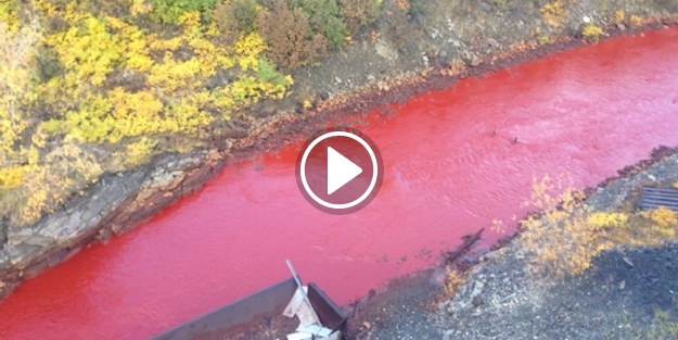 Görevler şaşkına dönüyor! Kıpkırmızı akıyor