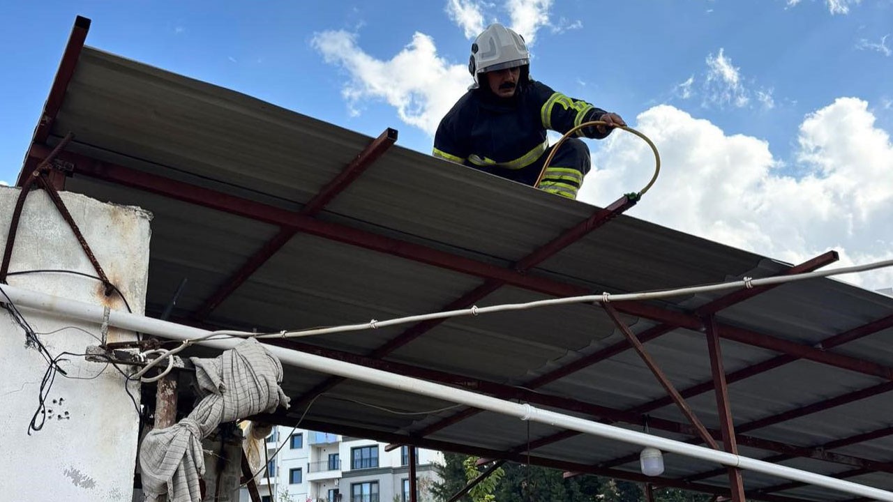 Sıcak hava yılanları ortaya çıkardı!