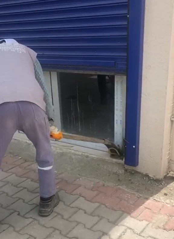 Sıcaklar tavan yaptı, yılanlar ortaya çıkmaya başladı 