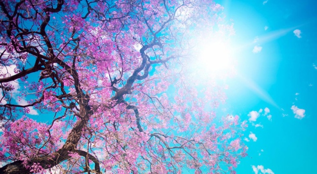 Sıcaklıklar yükseliyor!