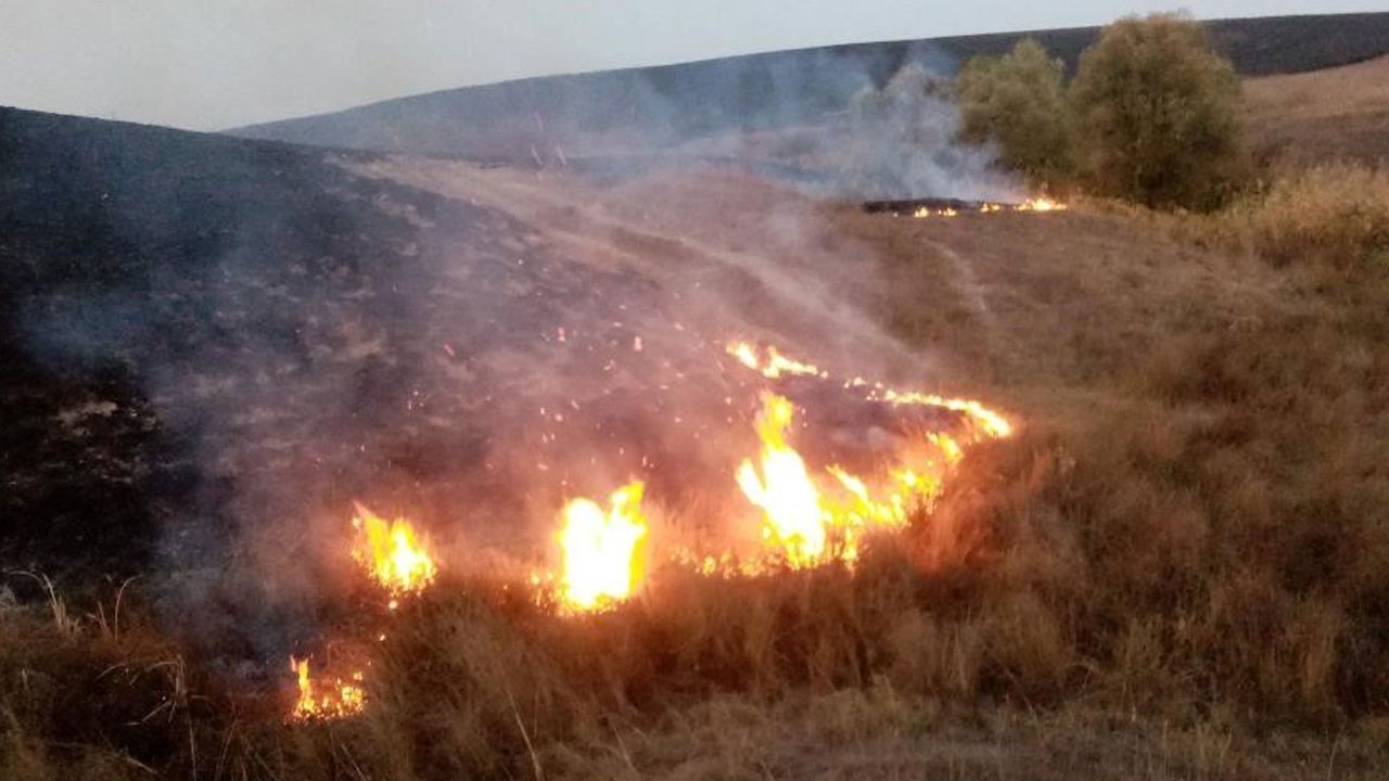 Sıcaklıklarla birlikte bu tehlike artıyor!