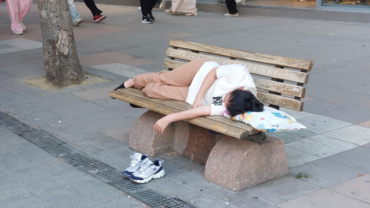 Sıcaktan bunaldı, caddenin ortasında uyuyakaldı!