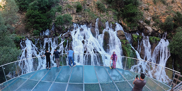 Sıcaktan kaçan soluğu bakın nerede aldı