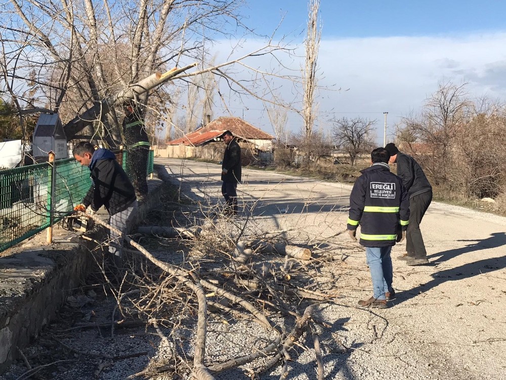 Şiddetli rüzgar direk ve ağaları devirdi 