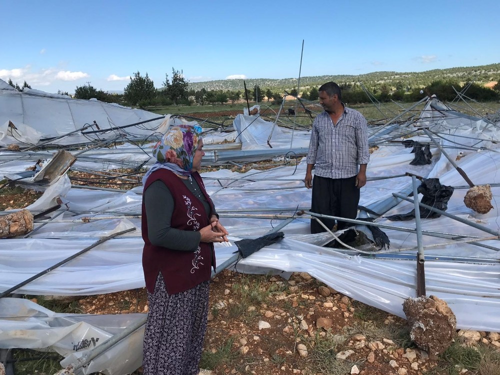 Şiddetli rüzgar seralara zarar verdi 