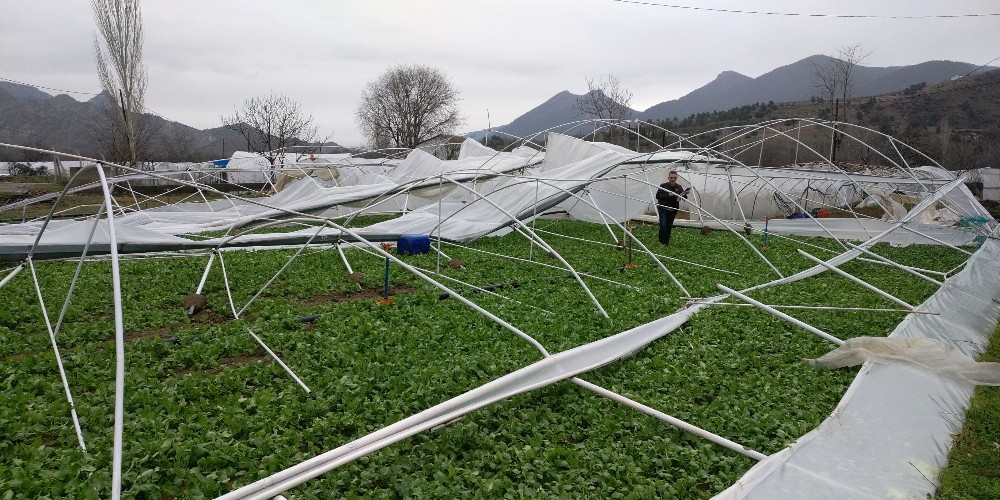 Şiddetli rüzgâr ve yağmurdan toplam 220 sera hasar gördü 