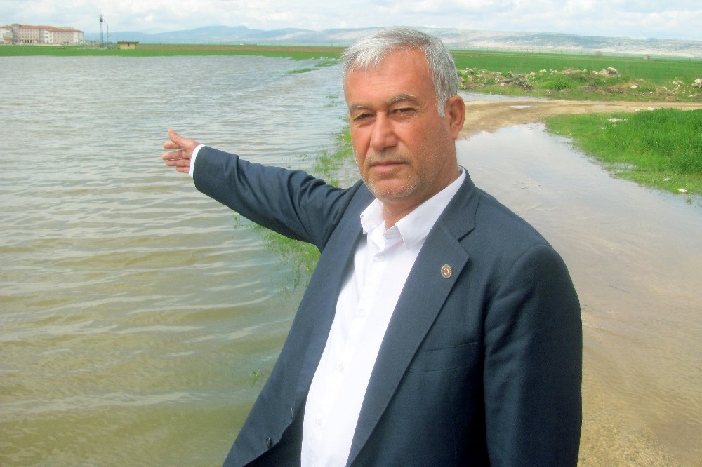 Şiddetli yağış tarım alanlarını göle çevirdi 