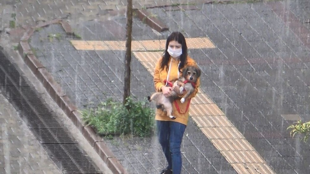 Şiddetli yağışa hazırlıksız yakalanınca köpeğini kucaklayıp koştu 