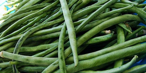 Şifa deposu börülcenin sağlığa faydaları...