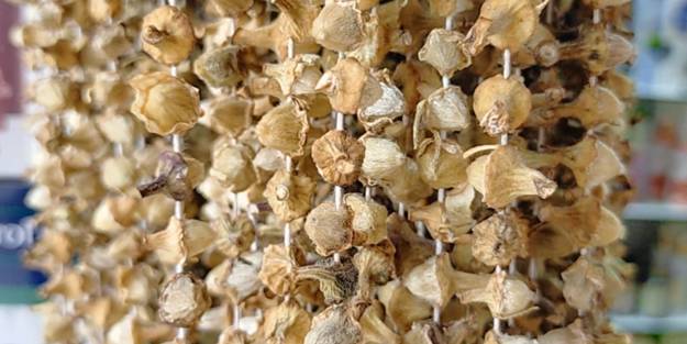 Şifa deposu olarak biliniyor! Kilosu 600 TL’yi buldu...