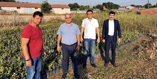 Şifa kaynağı aronya meyvesini üretecekler