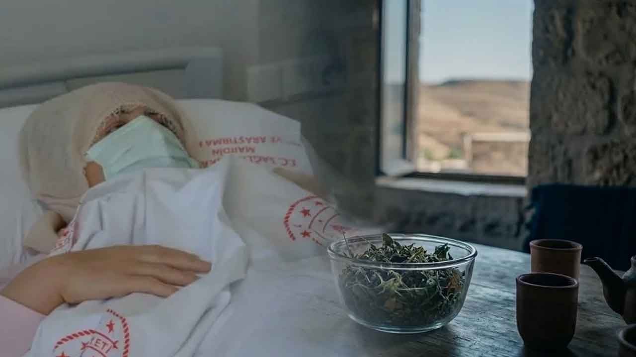 Şifa niyetine yedi, ölümün eşiğinden döndü! Şeker hastalığına iyi gelir diyenlere kandı, az kalsın canından oluyordu!