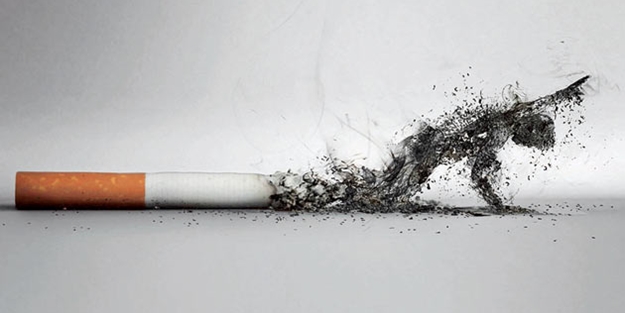 Sigara içenler dikkat! Günde 1 avuç tüketerek ciğerleri temizleyin