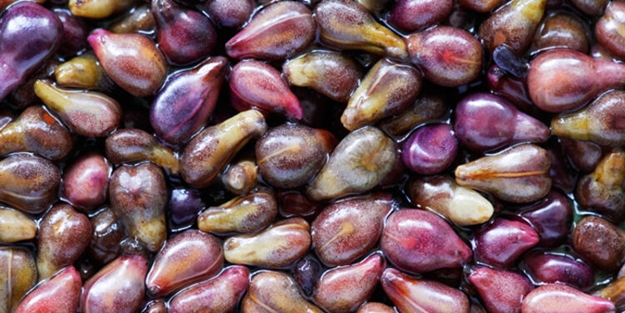 Sigara içenler dikkat! İşte akciğerleri temizleyen yiyecekler