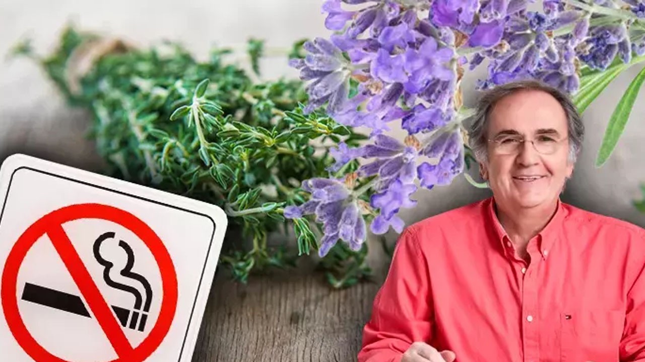 Profesör İbrahim Saraçoğlu'ndan sigarayı unutturan tarif!