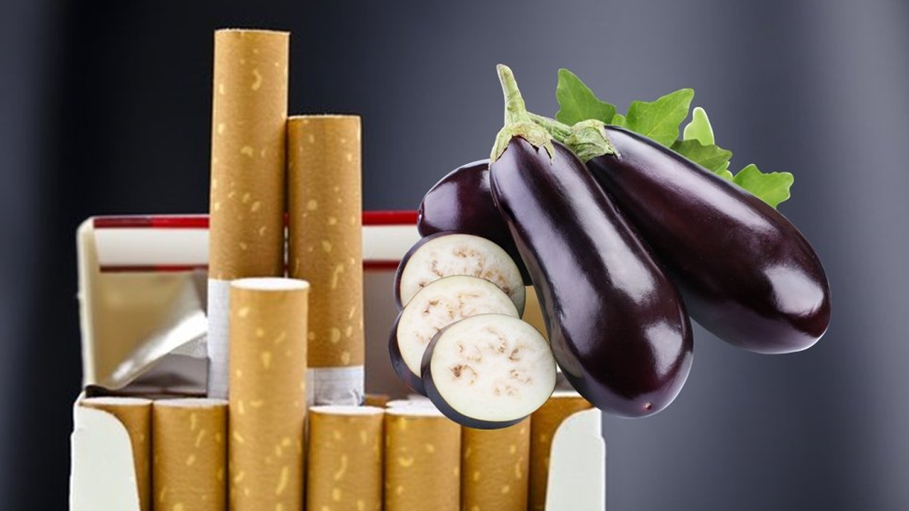 Sigarayı bırakanlar neden sıklıkla patlican tüketmeli?