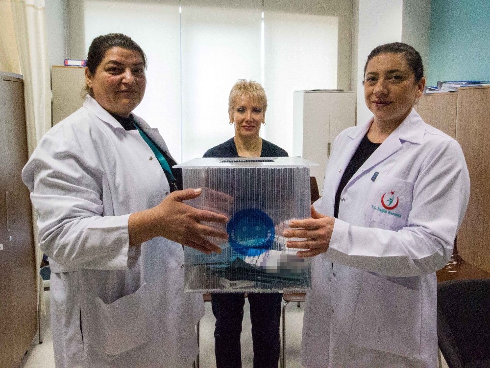 Sigarayı bırakmanın yol haritası 