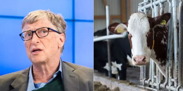 Sığırları suçlayan küreselci baronları yalanlayan rapor