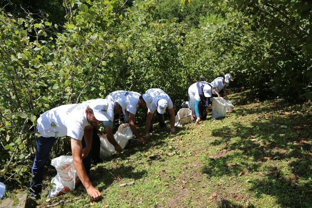 Sigortalı fındık işçileri bahçede 