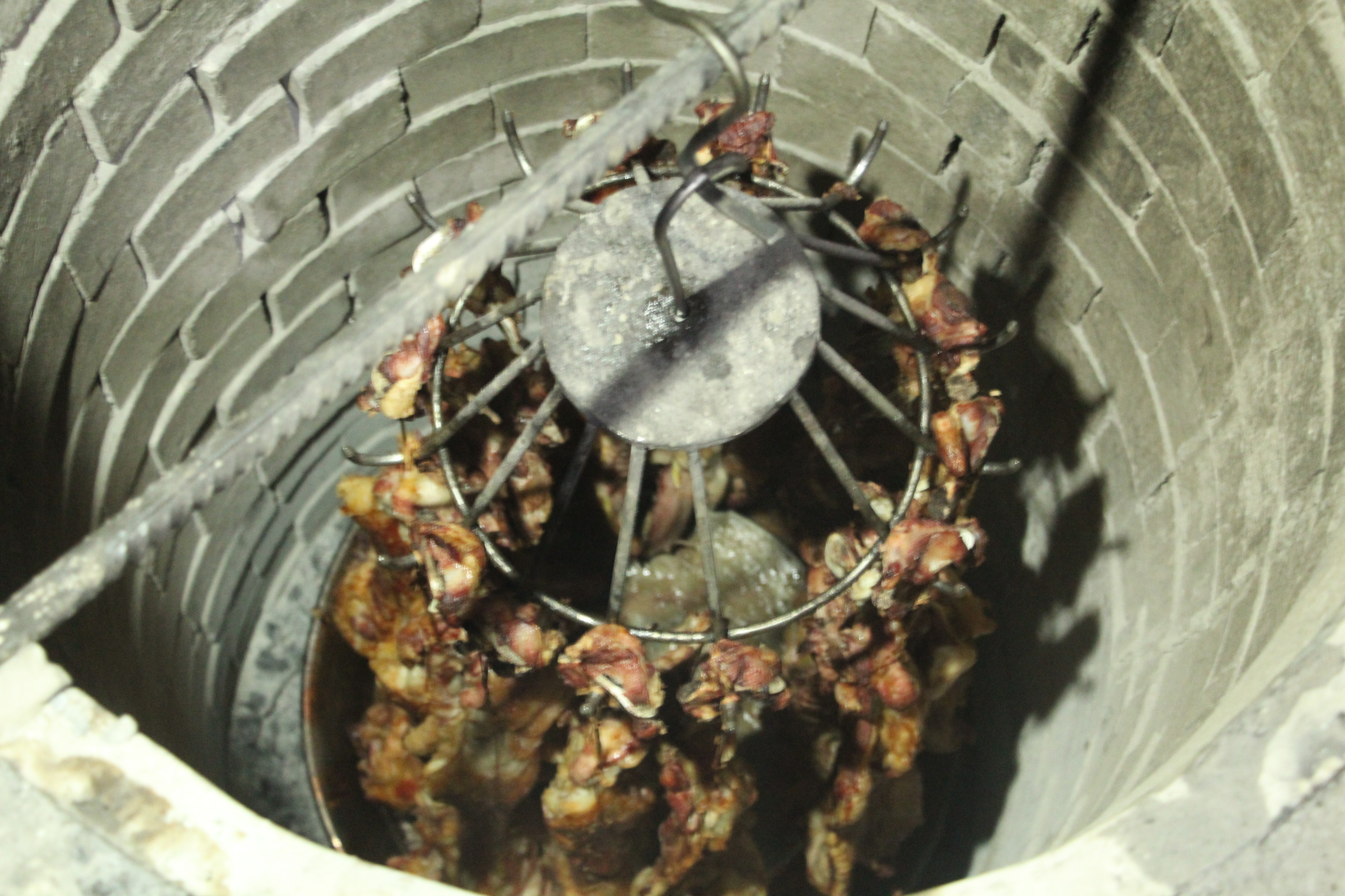 Siirt büryanının lezzeti dünyaya yayıldı