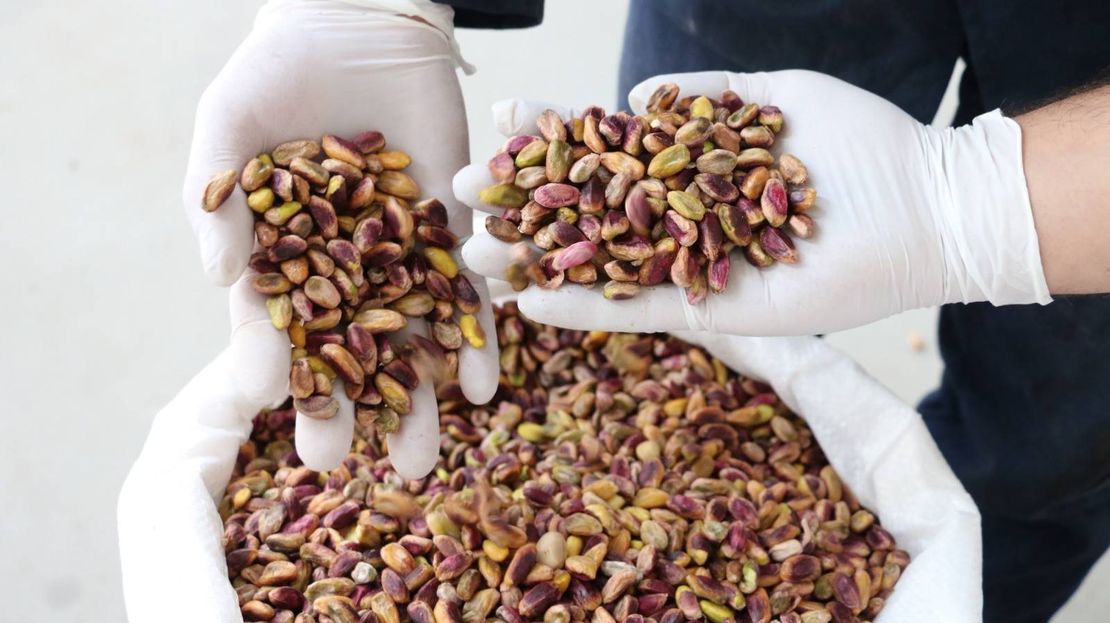 Siirt fıstığı dünyanın en iyi lezzetler arasına girdi