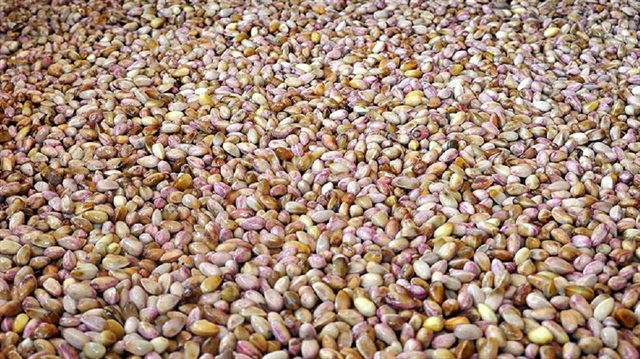 Siirt fıstığı markalaşacak