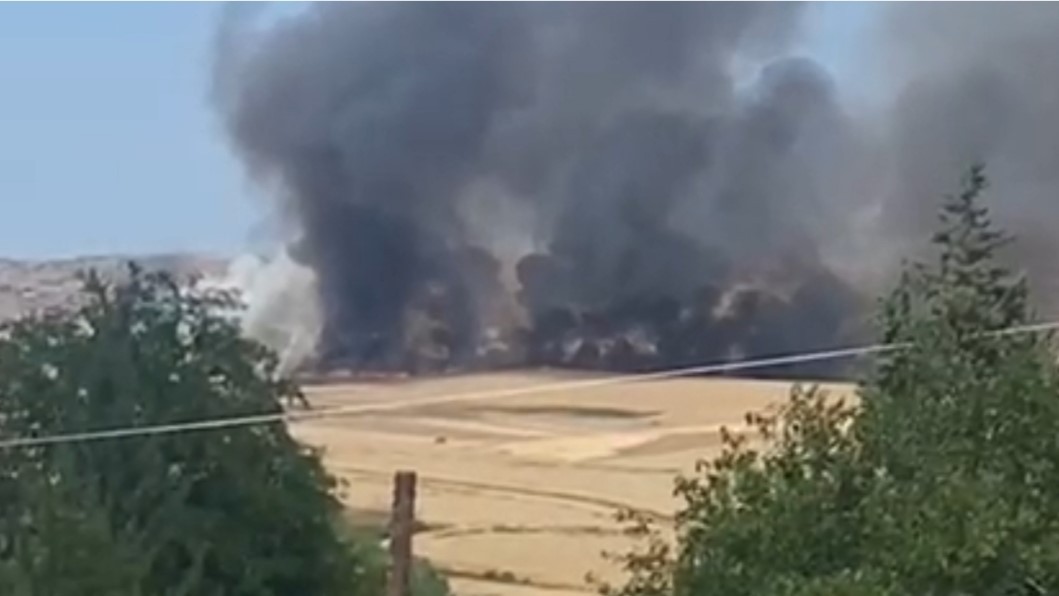 Siirt'te 350 dönümlük buğday tarlası yandı