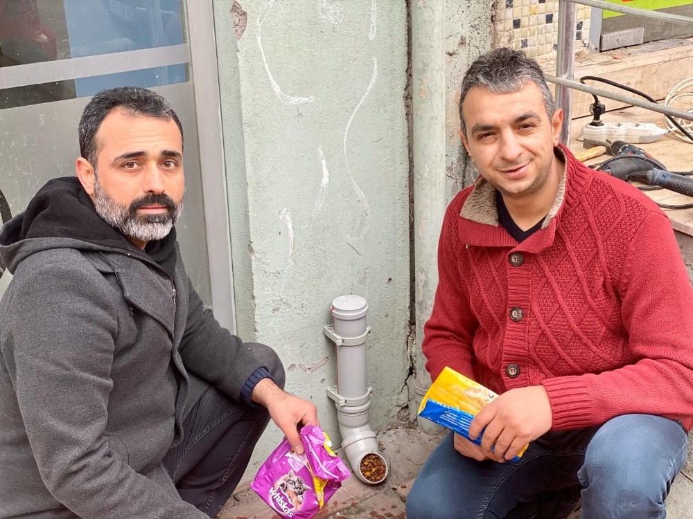 Siirt’te aç kalan hayvanlar için sokaklara yem bırakıldı 
