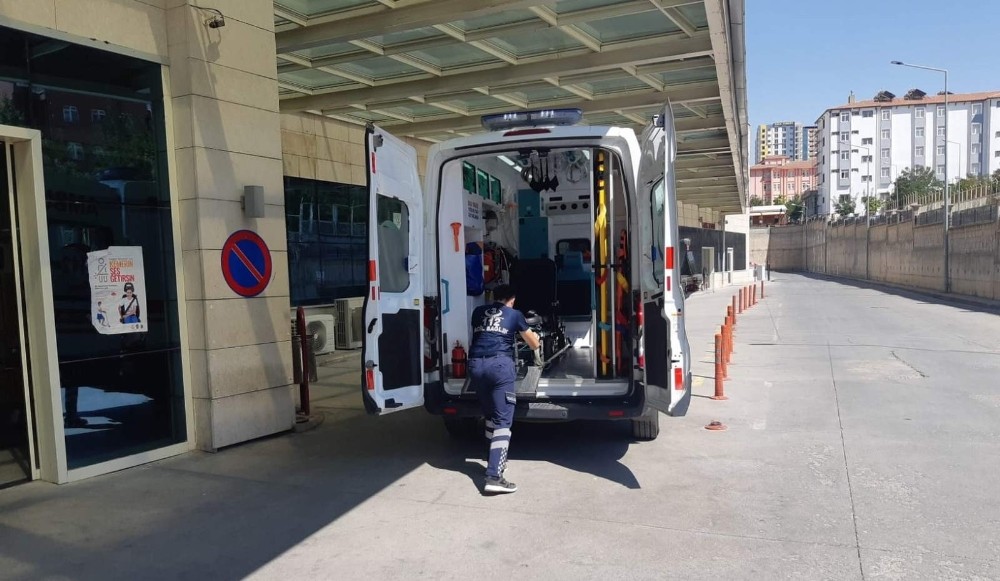 Siirt’te ağaçtan düşen şahıs yaralandı 