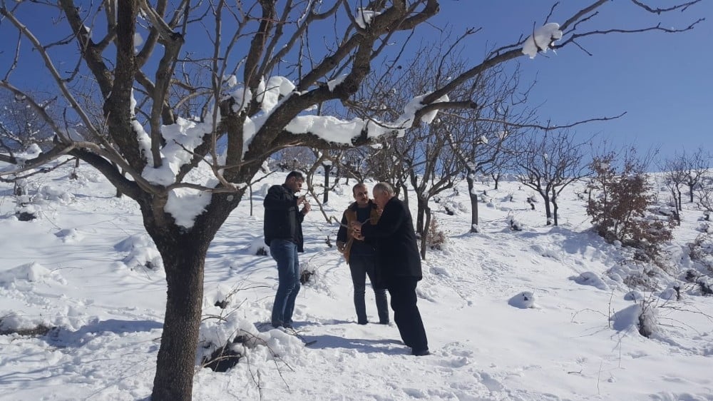 Siirt’te bağ ve bahçelerde çalışma yapıldı 