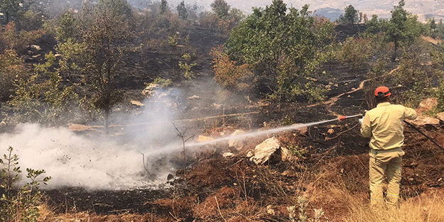 Siirt'te çıkan yangında 10 hektar zarar gördü