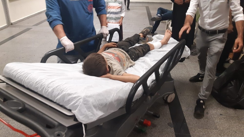 Siirt’te eşeğin teptiği çocuk yaralandı 