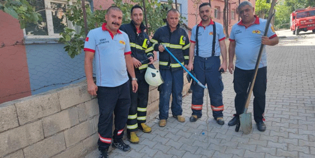 Yer: Siirt! Evde gördü paniğe neden oldu