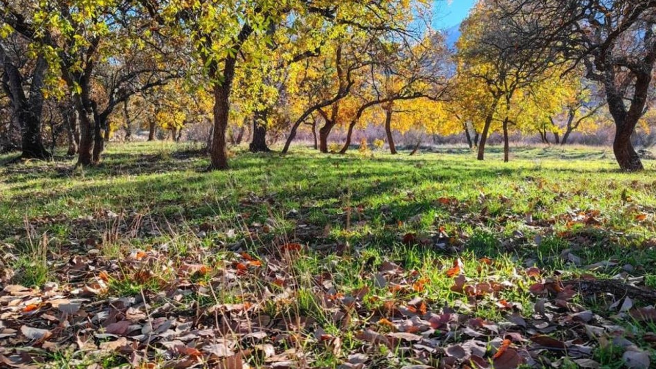 Siirt’te kartpostallık görüntüler