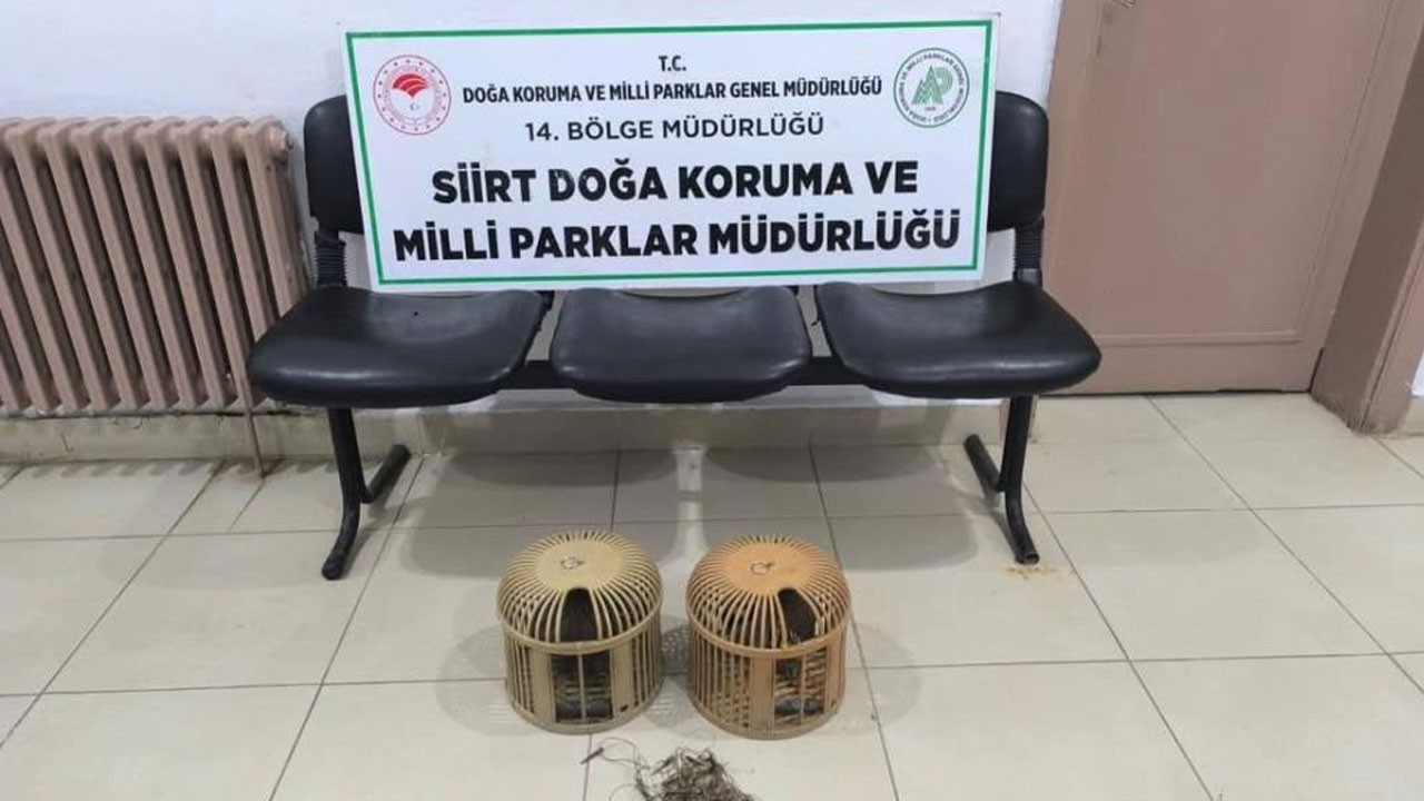 Siirt’te keklik avına dudak uçuklatan ceza