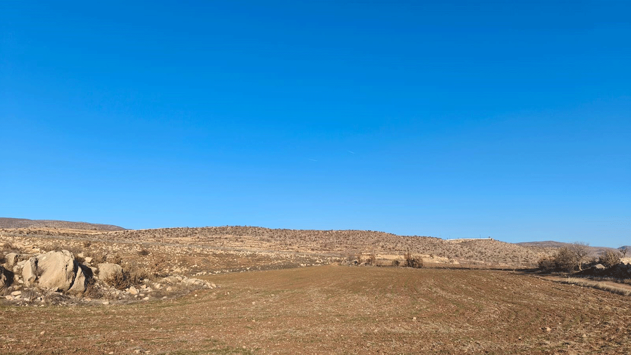 Siirt'te kış kurak geçiyor! Yağışsız mevsim endişelendiriyor
