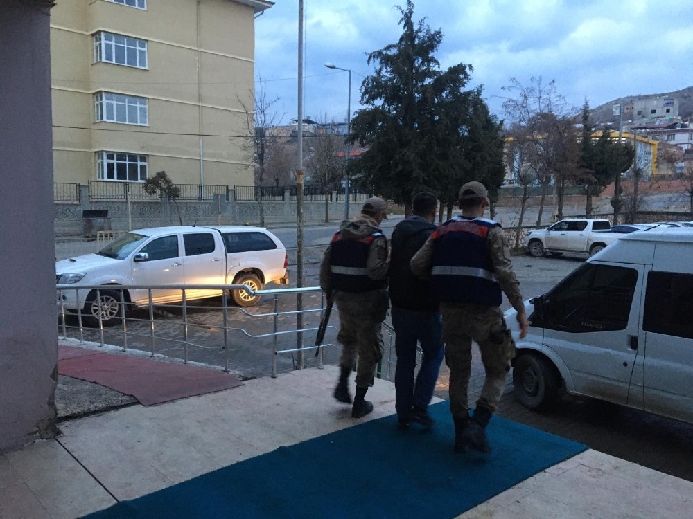 Siirt’te küçükbaş hayvan hırsızları tutuklandı 