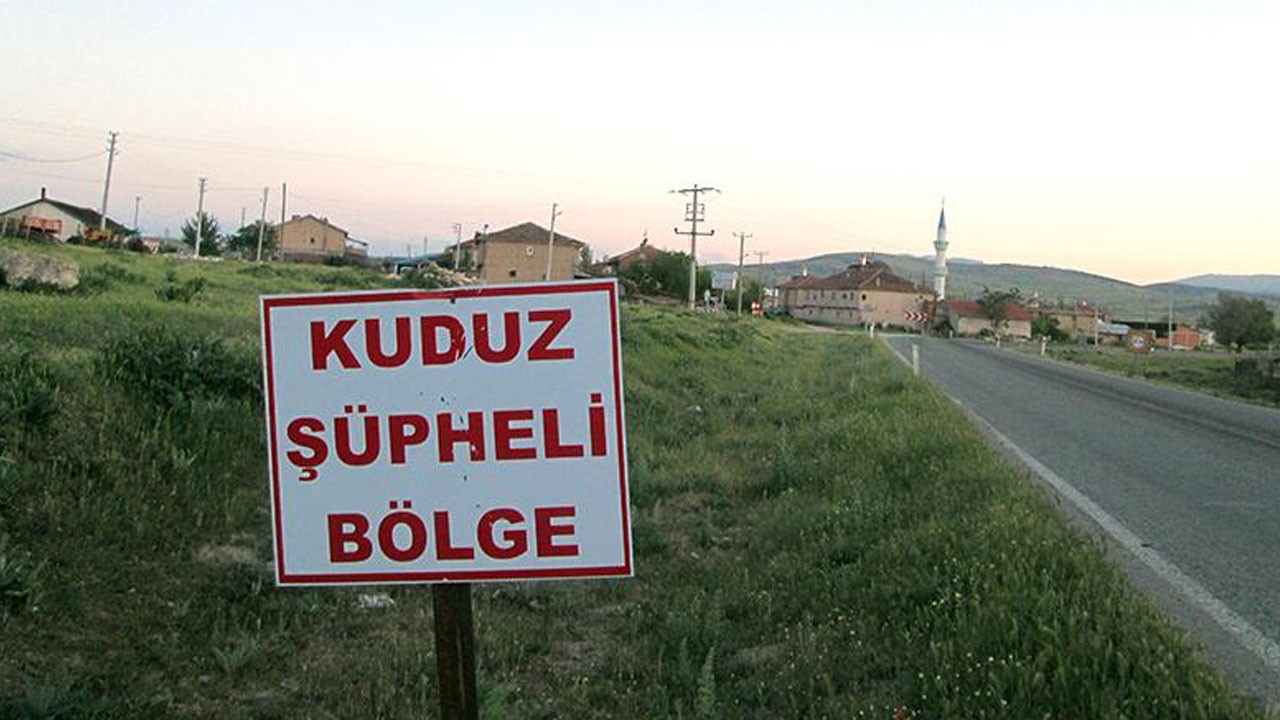Siirt’te kuduz alarmı! Hayvan hareketlerine kısıtlama getirildi