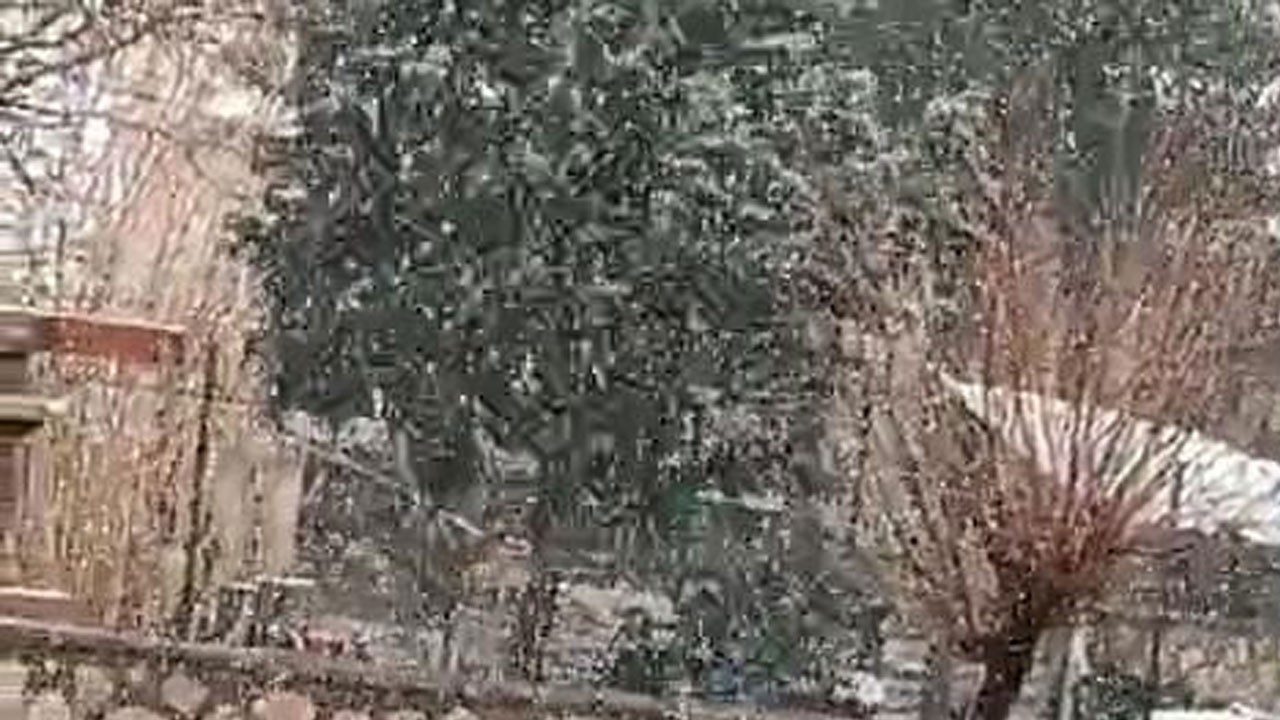 Siirt’te Mart ayında lapa lapa kar yağdı