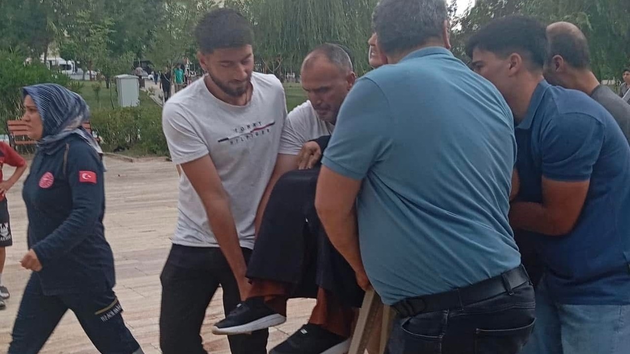 Siirt’te şiddetli rüzgar ağacı devrirdi