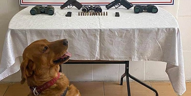 Siirt'te silah kaçakçılarına operasyon