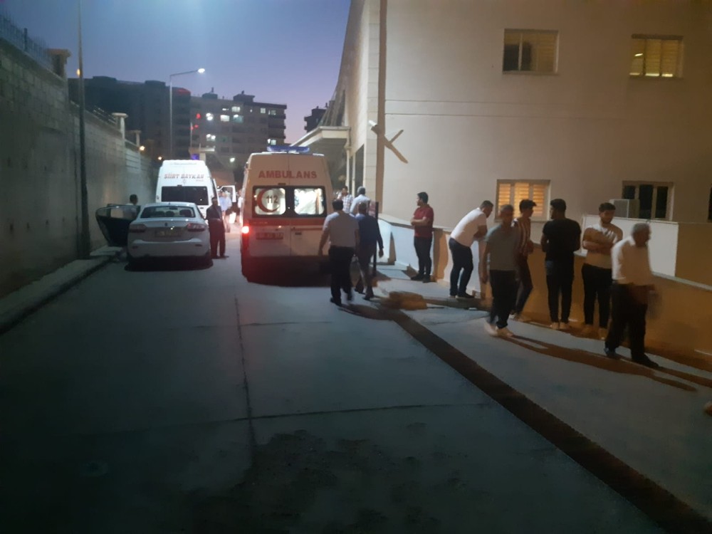 Siirt’te yılanın ısırdığı kadın hayatını kaybetti 