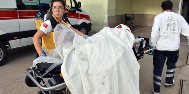 Siirt'teki operasyonda dikkat çeken Hollandalı