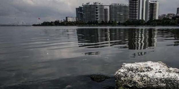 Sıkça görülmeye başlanan ölü kuşlarla ilgili flaş uyarı!