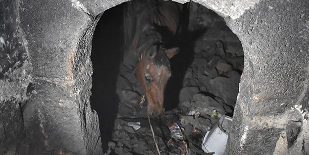 Sıkışan at için 4 saat süren kurtarma operasyonu
